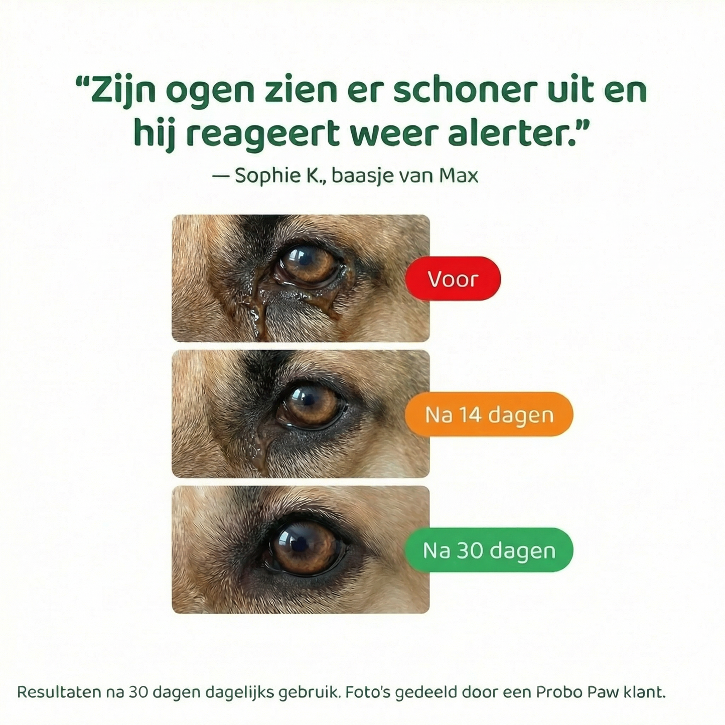 Probo Paw – ClearVision Nano-Drops (30ml)