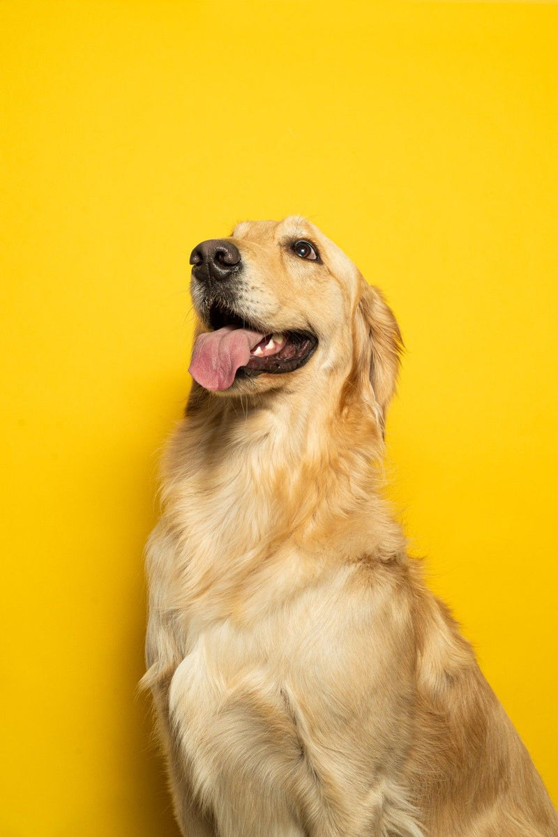 Realistische verwachting